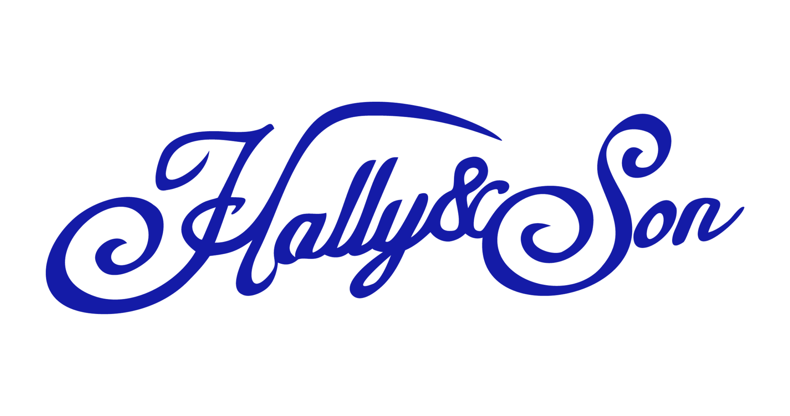 LOGO_HS